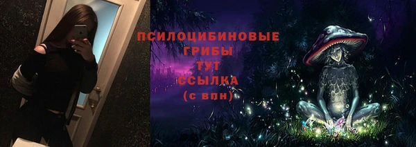 Альфа ПВП Дмитровск