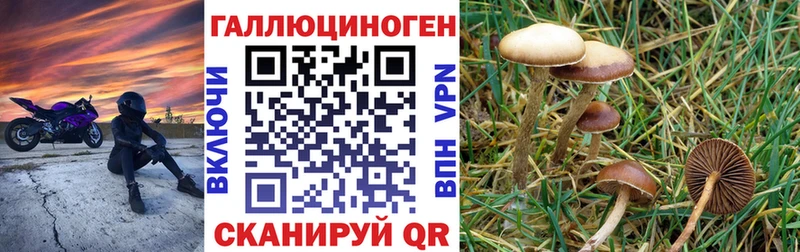 Галлюциногенные грибы MAGIC MUSHROOMS  купить наркотики сайты  Черепаново 